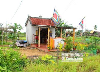 174 Quang Nam Ve Lang Rau Tra Que Hoi An Xem Rau An Rong 1