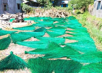 186 Di Qua Lang Nghe Tuy An 1