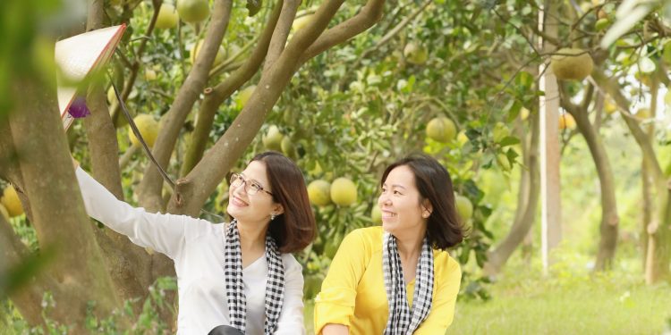 242du Lich Lang Nghe Gan Trai Nghiem Nong Nghiep Dinh Hinh Duong Di Moi Cho Vung Trung Phu Xuyen 1