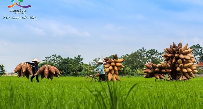 255 Lang Nghe Dan Do Thu Sy 1