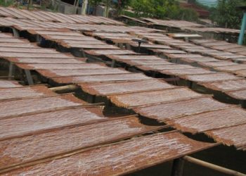 26122014miendongbinhlu