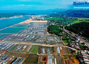 274 Quang Ngai Phat Trien Nghe Muoi Sa Huynh Gan Voi Du Lich 1