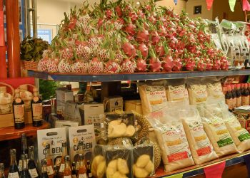 279bao Ton Va Phat Trien Lang Nghe 1