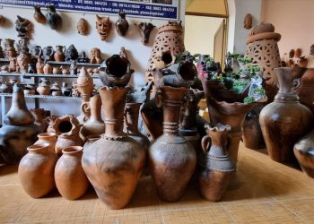 295 Chuyen Nghe Cua Nguoi Cham O Bau Truc Ninh Thuan 1