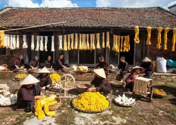 311 Huong Sac Lang Nghe Thai Binh