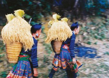 31122014neptantule 1