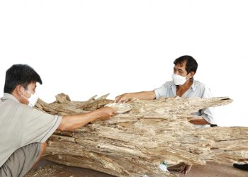 311lang Nghe Xoi Tram O Van Ninh Can Them Cu Hich De Phat Trien 1