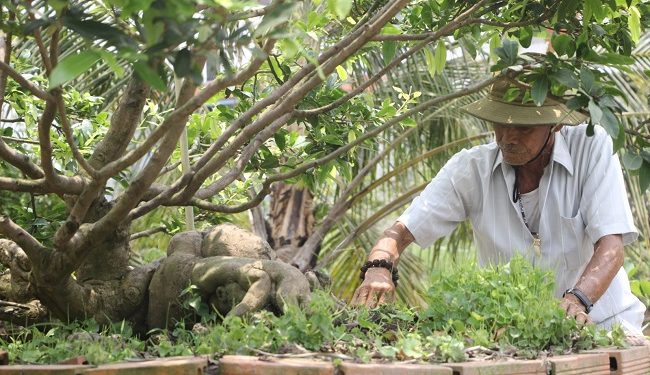 54 Kham Pha Lang Mai Doc Dao O Mien Tay 1