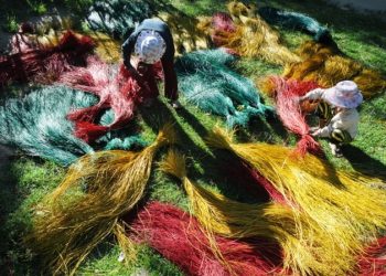 811kham Pha Lang Nghe Det Coi Kim Son Ninh Binh 1