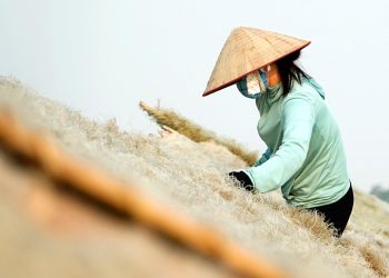 812ha Noi Lang So Co Nghe Lam Mien Dong