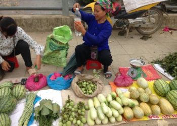 Ahuongvidocdaocaonbang 1