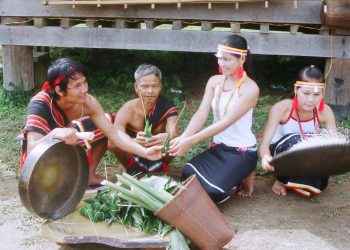 Banhlaroatnguoicor 1