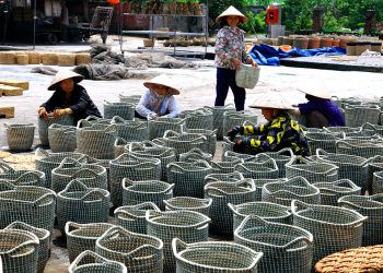 Cay Coi Va Nghe Det Coi O Kim Son 1