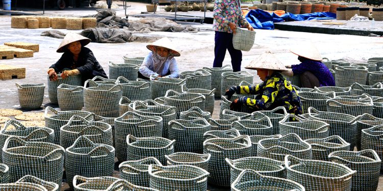 Cay Coi Va Nghe Det Coi O Kim Son 1