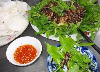 Dacsandemenmuongloyenbai 1