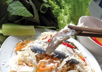 Dacsanlamsaylongnguoi 1