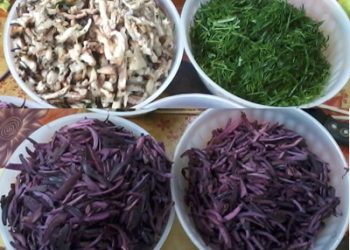 Dacsannhamvanxuyen 1