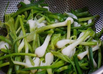 Dacsantoinonlyson1 1