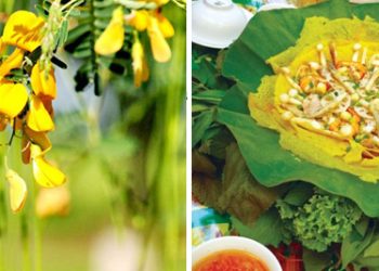 Damdabanhongdiendienmientay 1