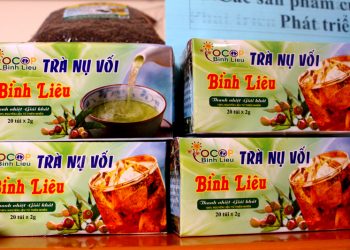 Dandannuvoibinhlieu 1