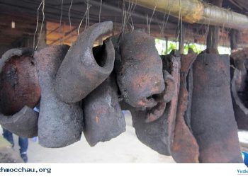 Datraugacbepmaichau 1