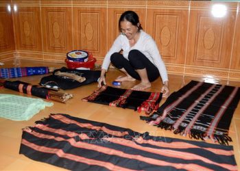 Det Tho Cam Dantoctu 1