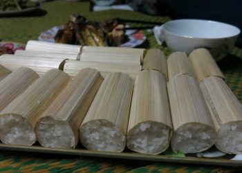 Docaoamthuccutungaytet 1