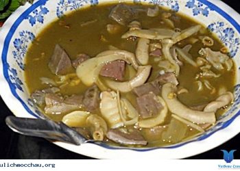 Docdaomonnampiamocchau 1