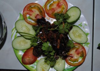 Doisenchiennuocmam 1