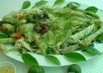 Gaahaplatrucangiang1