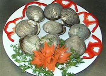 Goingandacsanhaiphong