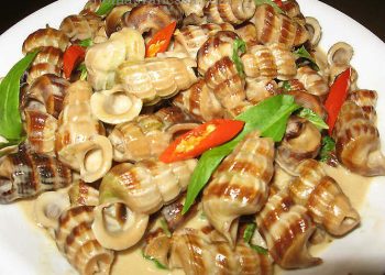 Hapdanamthuchaugiang 1