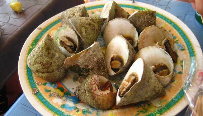 Lamiengocvunanghoian 1