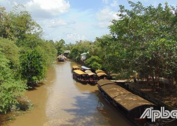 Langco Dong Hoa Hiep2