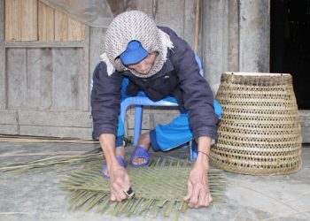 Luugiulangnghehopthanh