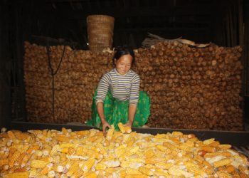 Ngonguyenlieulamnennhieumonamthucdocdaodiu 1