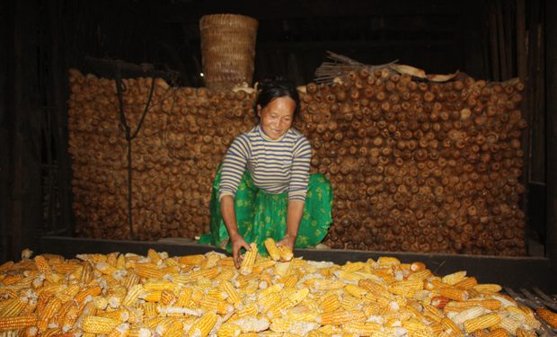 Ngonguyenlieulamnennhieumonamthucdocdaodiu 1