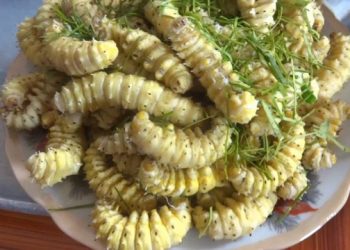 Nhungmonngonlataybac 1