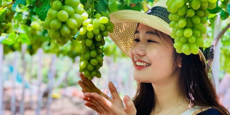 Quadacsanninhthuan 1