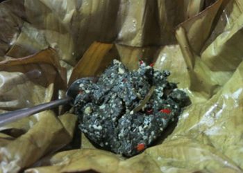 Reudanuongdantocthai 1