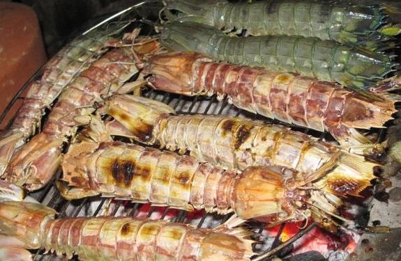 Thomngontomtitscamau1