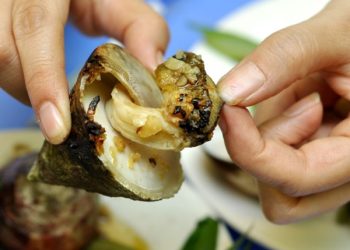 Thuoongthucocvunang 1