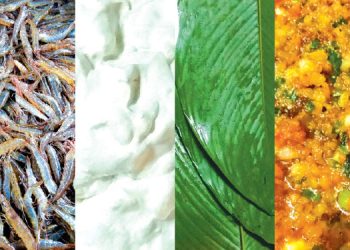 Vehuongcananbanhgoi 1