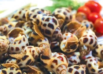 Vemientrungthuongthucocbien 1