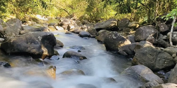 166hoa Minh Vao Thien Nhien O Suoi Hop Hai