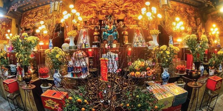 227inh Yen Thai Va Hinh Bong Nguyen Phi Y Lan