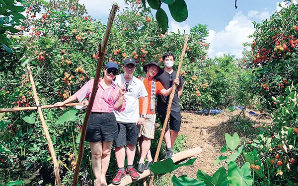 246ve Con Mua Trai Cay