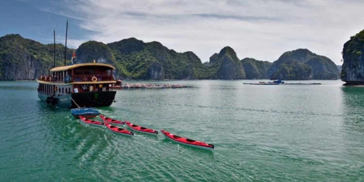 255dao Van Boi Cat Ba