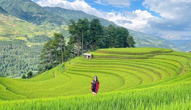 309 Mu Cang Chai Yen Bai Nhat Dinh Phai Den 1