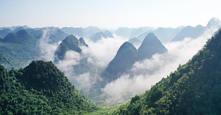 47san May Tai Luc Khu